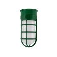 Flush Mount Guard Sconce, 307-Emerald Green, CGG-Standard Cast Guard, FST-Frosted Glass