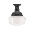 Primary Schoolhouse Semi-Flush Mount Light, 805-Charcoal Granite, Small Clear Glass, Triple Painted Band, 480-Blush Pink