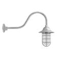 Industrial Guard Gooseneck Light, 975-Galvanized, Flared Shade, CGG-Standard Cast Guard, FST-Frosted Glass, G22 Gooseneck Arm