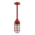 Industrial Guard Stem Mount Pendant Light, 400-Barn Red, Topless Shade, CGG-Standard Cast Guard, CLR-Clear Glass