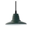 Mini Eclipse Pendant, 300-Dark Green, SBK-Standard Black Cord