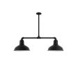 Dino 2-Light, 100-Black, 12" Arms, 18" Stem