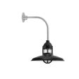 12" Brisbane, 100-Black, CLR-Clear Glass, G12 Gooseneck Arm, Mounting in 975-Galvanized