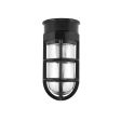 Flush Mount LED Guard Sconce, 100-Black, TGG-Heavy Duty Cast Guard, RIB-Ribbed Glass