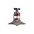 12" Wallaby LED, 805-Charcoal Granite, Guard in 400-Barn Red, RIB-Ribbed Glass