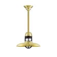 12" Brisbane LED, 997-Natural Raw Brass, With Cap Option, Guard in 100-Black, CLR-Clear Glass, Decorative Canopy Cover