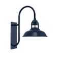 14" Outback LED, 705-Navy, FST-Frosted Glass, G19 Gooseneck Arm