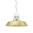 14" Sydney LED, 997-Natural Raw Brass, Guard in 200-White, RIB-Ribbed Glass, CSGW-Gold & White Cloth Cord, Mounting in 200-White