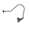 12" Goodrich Fire Chief, 850-Graphite, G2 Gooseneck Arm with Swivel Knuckle
