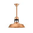 14" Sydney, 995-Natural Raw Copper, With Cap Option, Guard in 100-Black, CLR-Clear Glass, Decorative Canopy Cover