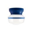Kao Primary Schoolhouse Flush Mount, 700-Royal, Small Clear Glass, Double Painted Band