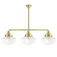 Primary Schoolhouse 3-Light Chandelier, 997-Natural Raw Brass, Large Clear Glass