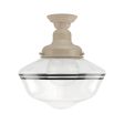 Primary Schoolhouse Semi-Flush Mount Light, 607-Taupe, Large Clear Glass, Double Painted Band, 100-Black