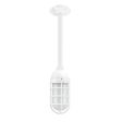 Industrial Guard Stem Mount Pendant Light, 200-White, Topless Shade, CGG-Standard Cast Guard, FST-Frosted Glass