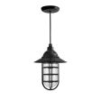 Industrial Guard LED Pendant Light, 100-Black, Flared Shade, CGG-Standard Cast Guard, CLR-Clear Glass, CSB-Black Cloth Cord