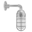Industrial Guard LED Sconce, 975-Galvanized, Topless Shade, CGG-Standard Cast Guard, FST-Frosted Glass