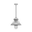 12" Laramie, 800-Industrial Grey, CGG-Standard Cast Guard, FST-Frosted Glass
