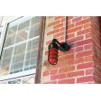 Industrial Guard LED Sconce, 100-Black, No Shade, CGG-Standard Cast Guard, RED-Red Glass | Photo Courtesy of Whiskey Kitchen (Raleigh, NC)