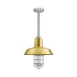 12" The Original™ Stem Mount, 997-Natural Raw Brass, CGG-Standard Cast Guard, 975-Galvanized, RIB-Ribbed Glass, Mounting in 975-Galvanized
