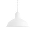 14" Dino, 200-White, SWH-Standard White Cord