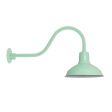 12" Dino, 355-Porcelain Jadite, G22 Gooseneck Arm