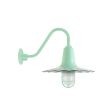 14" Seaside, 355-Porcelain Jadite, CGG-Standard Cast Guard, FST-Frosted Glass, G26 Gooseneck Arm