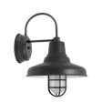 12" Union Sconce, 805-Charcoal Granite, CGG-Standard Cast Guard, FST-Frosted Glass