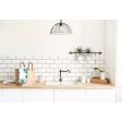 Chicken Wire Stem Mount Pendant Light, 100-Black, Nostalgic Edison-Style 1890 Era Bulb
