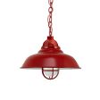 16" Chicago, 400-Barn Red, CGG-Standard Cast Guard, FST-Frosted Glass, CRZ-Red Chevron Cord