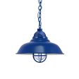 16" Chicago, 700-Royal Blue, CGG-Standard Cast Guard, RIB-Ribbed Glass, CSUW-Blue & White Cloth Cord