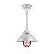 12" Chicago, 975-Galvanized, TGG-Heavy Duty Cast Guard, 400-Barn Red, RIB-Ribbed Glass, Hang Straight Canopy