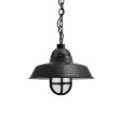 12" Rochester, 100-Black, TGG-Heavy Duty Cast Guard, FST-Frosted Glass, CSB-Black Cloth Cord