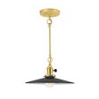 12" Conoco Stem & Loop, 100-Black, BP-Brass with Black Paddle Switch, Putty Cotton Twist Cord, Nostalgic Edison-Style Victorian 40 Watt Light Bulb