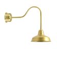 12" Avalon LED, 997-Natural Raw Brass, G24 Gooseneck Arm, Decorative Backing Plate & Hex Cover