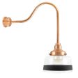 Drum Gooseneck, 995-Natural Raw Copper, Clear Glass, Single Painted Band, 100-Black, G24 Gooseneck Arm, 995-Natural Raw Copper, Shown with G30 Bulb