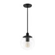8" Glass Ball Stem Mount Pendant, Clear Glass, 100-Black, 40W 1910 Era Edison Bulb