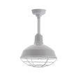 14" Dino LED, 800-Industrial Grey, Wire Cage, 975-Galvanized
