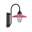 12" Bridgeport LED, 490-Magenta, WGG-Wire Guard, 100-Black, RIB-Ribbed Glass, G19 Gooseneck Arm, Mounting in 100-Black