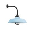 16" Rochester LED, 715-Delphite, CGG-Standard Cast Guard, 100-Black, RIB-Ribbed Glass, G13 Gooseneck Arm, 100-Black