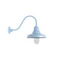12" Union Nautical LED, 715-Delphite, WGG-Wire Guard, FST-Frosted Glass