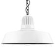 20" Scrimmage, 250-Porcelain White, Heat Sink in 250-White, Chain in 150-Black, CSBW-Black & White Cloth Cord, CLR-Clear Glass