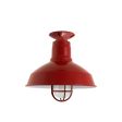 12" Dino, 400-Barn Red, CGG-Standard Cast Guard, FST-Frosted Glass