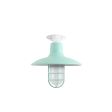 12" Dominion, 370-Mint, CGG-Standard Cast Guard, FST-Frosted Glass, Mounting in 200-White