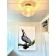 Primary Schoolhouse Flush Mount Light, 975-Galvanized Fitter, Large Clear Glass | Photo Courtesy of Homeowner