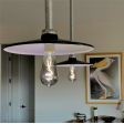 12” Conoco, 100-Black, 36” Stem in 975-Galvanized | Photo Courtesy of Homeowner