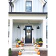 18” Outback, 975-Galvanized Shade, 100-Black Stem & Canopy Finish, With Cap, Heavy Duty Canopy, CGG-Standard Cast Guard in 100-Black, Clear Glass | Photo Courtesy of Melissa Ferre