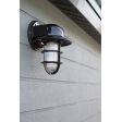 Streamline LED Industrial Guard Sconce, 100-Black, Flared Shade, Heavy Duty Guard, RIB-Ribbed Glass | Photo Courtesy of JAG Window Tinting