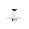 16" Dominion, 200-White, CGG-Standard Cast Guard, 100-Black, FST-Frosted Glass, Mounting in 100-Black
