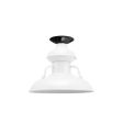 12" Laramie, 200-White, Mounting in 100-Black