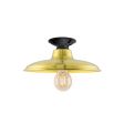 12" Marathon, 997-Natural Raw Brass, Mounting in 100-Black, Shown with LED Edison A19 Bulb